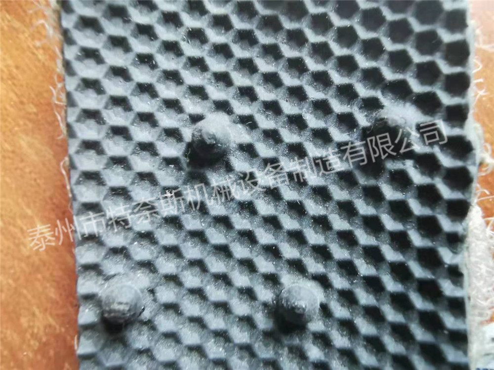 樣品